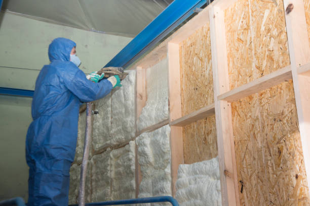 Best Affordable Insulation Services  in St Lawrence, PA